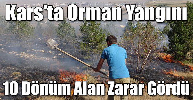Kars'ta Orman Yangını: 10 Dönüm Alan Zarar Gördü