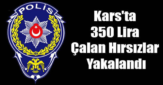 Kars'ta 350 Lira Çalan Hırsızlar Yakalandı