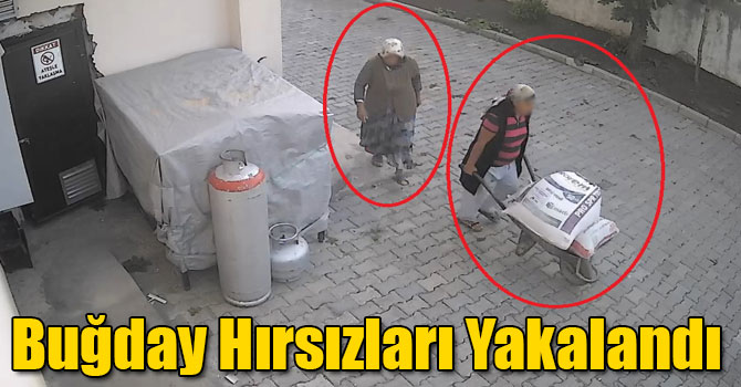 Kars'ta Buğday Hırsızları Yakalandı