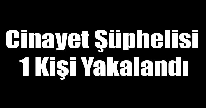 Kars'ta Cinayet Şüphelisi 1 Kişi Yakalandı