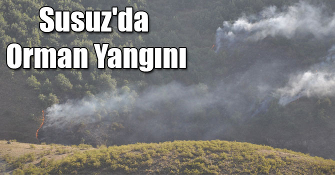 Susuz'da Orman Yangını