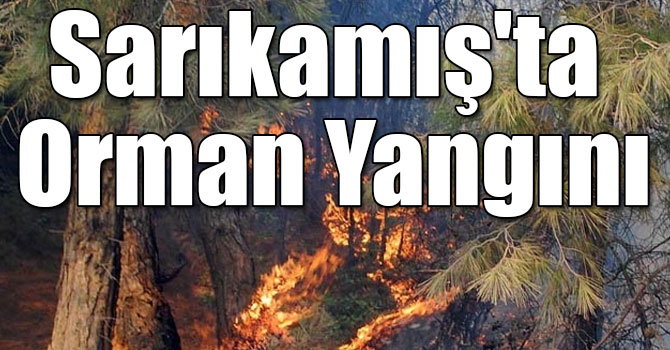 Sarıkamış'ta Orman Yangını