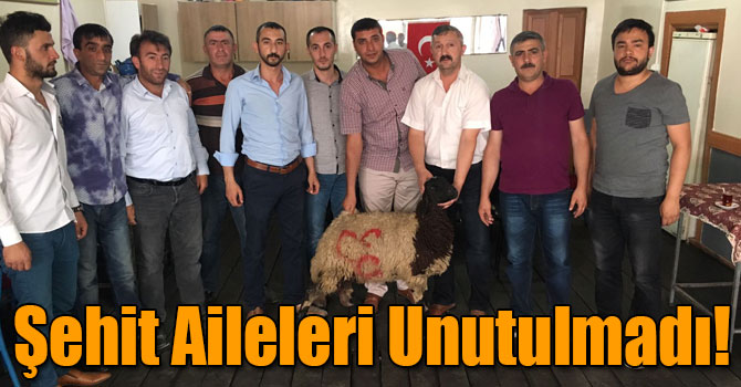 Kars Ülkü Ocakları Şehit Ailelerini Unutmadı!