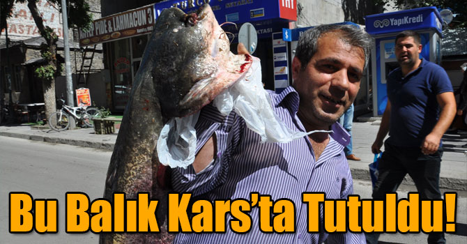 Kars'ta 40 Kiloluk Yayın Balığı Yakalandı