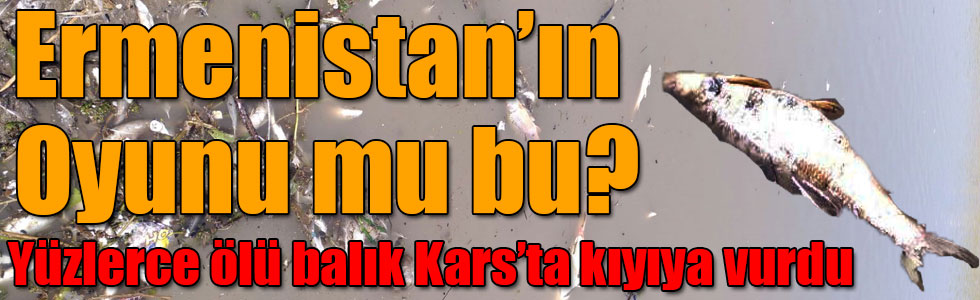 Kars'ın Arpaçay Baraj Gölünde Balık Ölümü