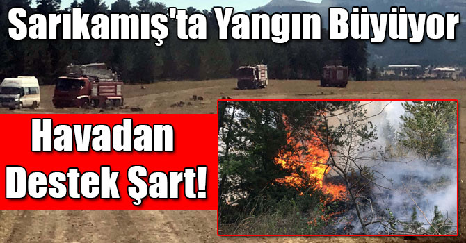 Sarıkamış'ta Orman Yangını Büyüyor, Söndürmek İçin Havadan Destek Şart!