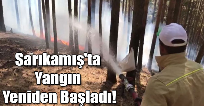 Sarıkamış'ta Yangın Yeniden Başladı!