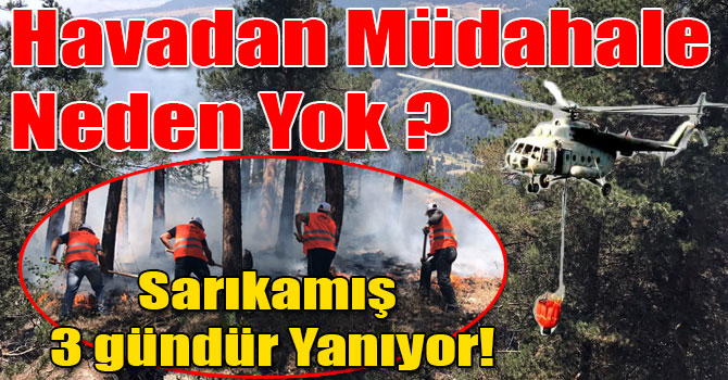 Havadan Müdahale Neden Yok? Sarıkamış Ormanları 3 Gündür Yanıyor