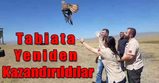 Tabiata Yeniden Kazandırıldılar