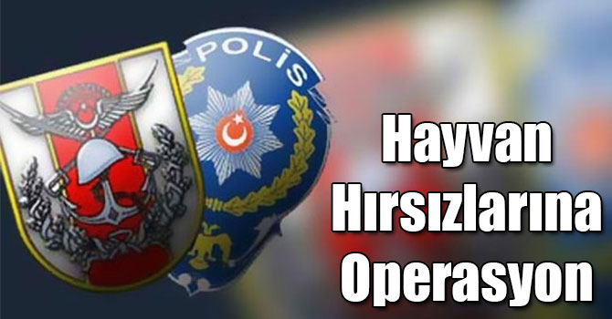 Kars'ta Polis ve Jandarmadan Hayvan Hırsızlarına Operasyon