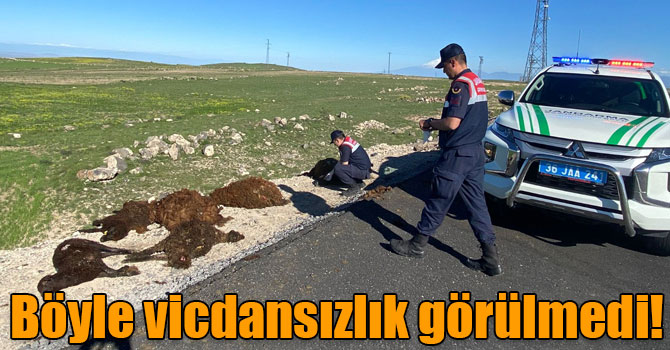 Böyle vicdansızlık görülmedi!