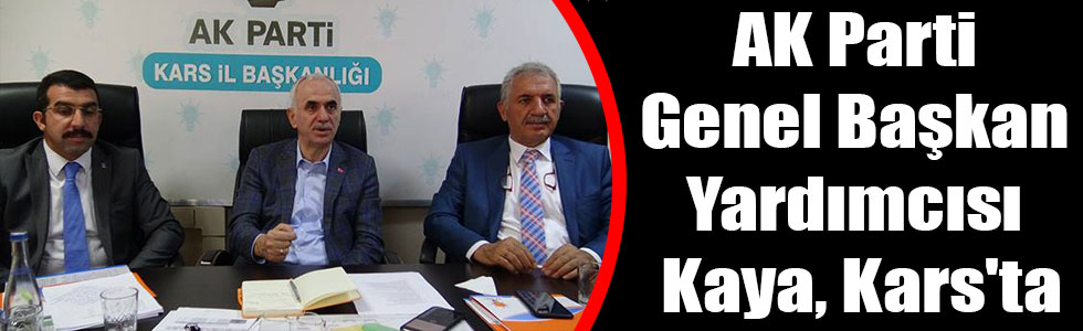 AK Parti Genel Başkan Yardımcısı Kaya, Kars'ta
