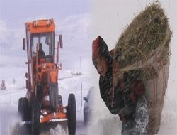 Kars tipi esaretinde