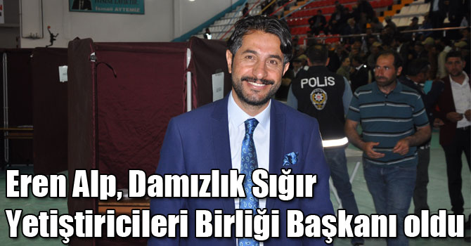 Eren Alp, Damızlık Sığır Yetiştiricileri Birliği Başkanı oldu