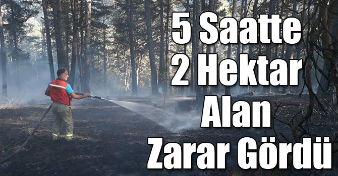 Sarıkamış'ta 5 Saatte 2 Hektar Alan Zarar Gördü