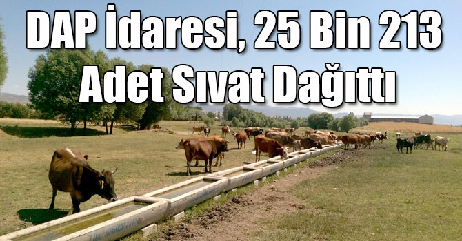 DAP İdaresi, 25 Bin 213 Adet Sıvat Dağıttı