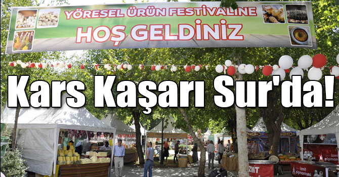 Kars Kaşarı Sur'da!