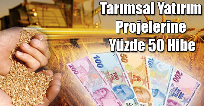 Tarımsal Yatırım Projelerine Yüzde 50 Hibe
