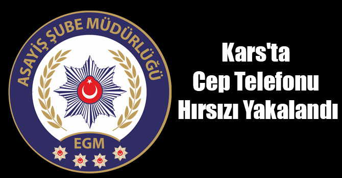 Kars'ta Cep Telefonu Hırsızı Yakalandı