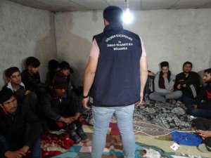 Van’da bir evin bodrumunda 24 düzensiz göçmen yakalandı