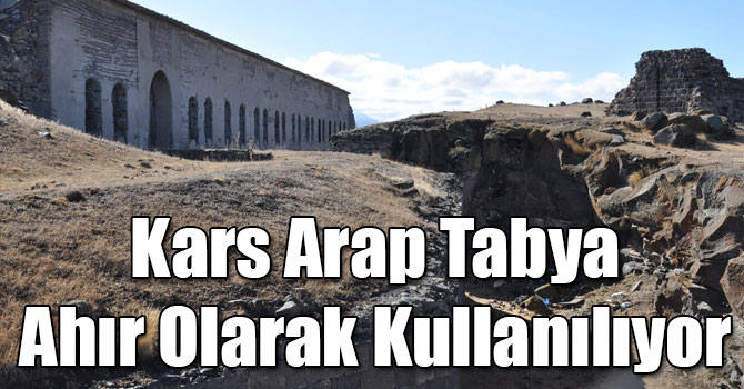 Kars Arap Tabya Hayvan Barınağı Olarak Kullanılıyor