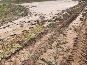 Kulu’da şiddetli yağışlar yaklaşık 3 bin dekar ekili alana zarar verdi