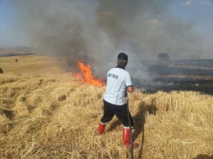 Siirt’te anız yangınlarına karşı çiftçiler uyarıldı