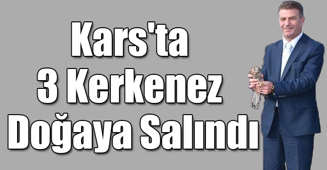 Kars'ta 3 Kerkenez Doğaya Salındı