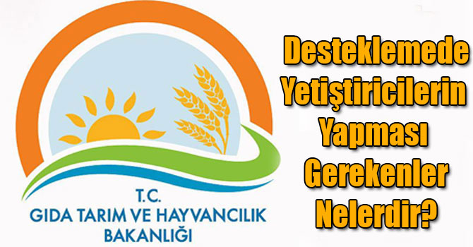 2017 Yılı Anaç Koyun Keçi Desteklemesinde Yetiştiricilerin Yapması Gerekenler