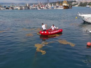 Sinop’ta deniz yüzeyinde oluşan kirlilik temizleniyor