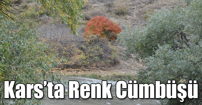 Kars’ta Renk Cümbüşü