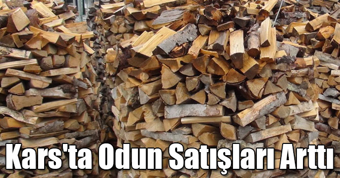 Kars'ta Odun Satışları Arttı
