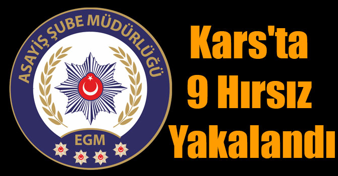 Kars'ta 9 Hırsız Yakalandı