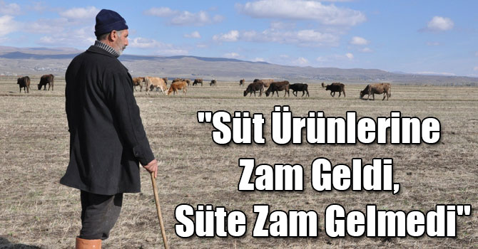 Kars Ziraat Odası Başkanı Ertaş: "Süt Ürünlerine Zam Geldi, Süte Zam Gelmedi"