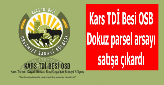 Kars TDİ Besi OSB’nin dokuz parsel arsası satılacak