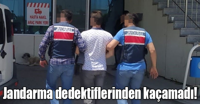 Jandarma dedektiflerinden kaçamadı!