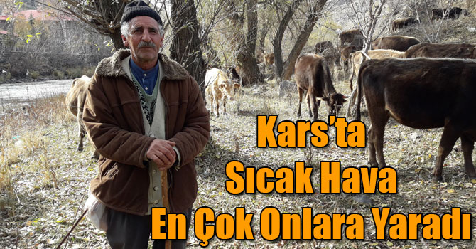 Kars’ta Sıcak Hava En Çok Hayvancılıkla Uğraşanlara Yaradı
