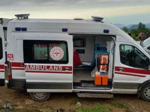 İneği ile birlikte uçuruma yuvarlanan kadın hayatını kaybetti