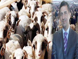 Tarım İl Müdürlükleri uyarıldı