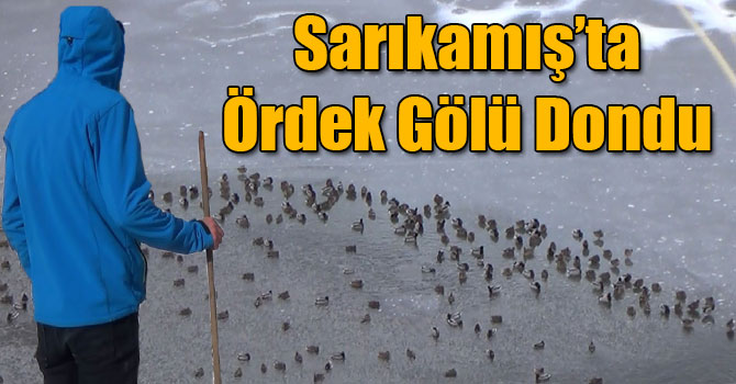 Sarıkamış’ta Ördek Gölü Dondu