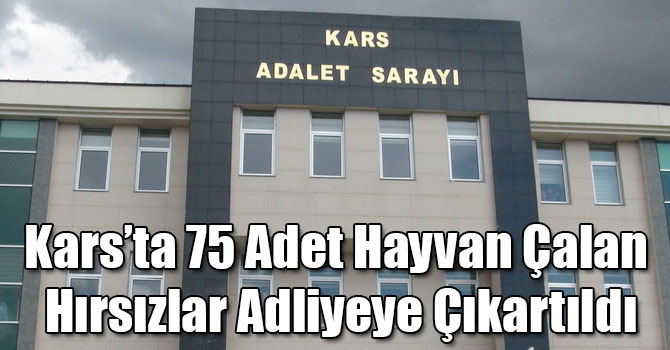 Kars’ta 75 Adet Hayvan Çalan Hırsızlar Adliyeye Çıkartıldı