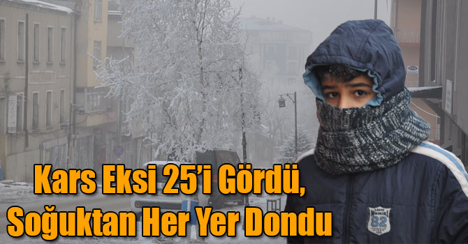 Kars Eksi 25’i Gördü, Soğuktan Her Yer Dondu