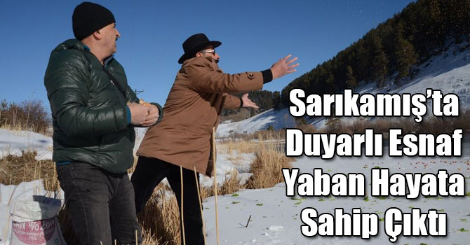 Sarıkamış’ta Duyarlı Esnaf Yaban Hayata Sahip Çıktı