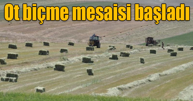 Kars’ta çiftçilerin ot biçme mesaisi başladı