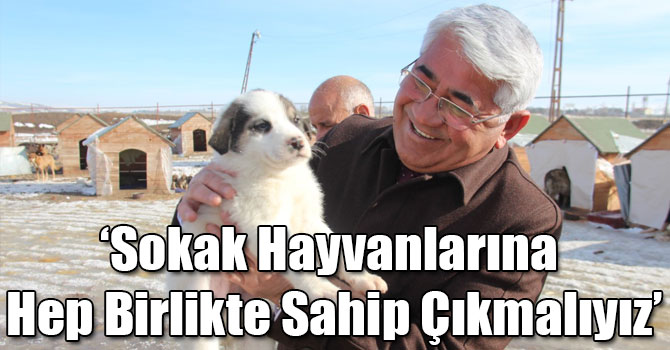 Başkan Karaçanta: Sokak Hayvanlarına Hep Birlikte Sahip Çıkmalıyız