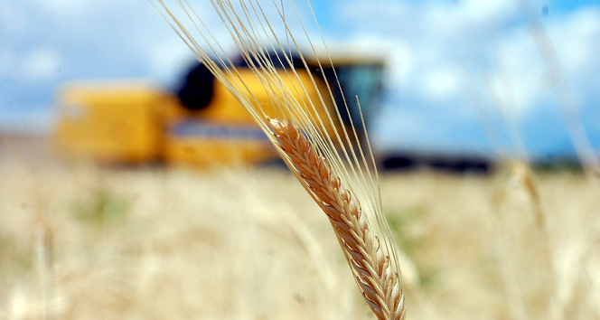 Tarım Ürünleri Üretici Fiyat Endeksi Açıklandı