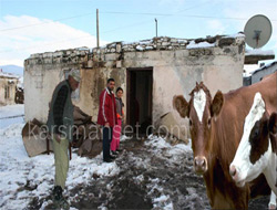 Ahırın Toprak Damı Çöktü