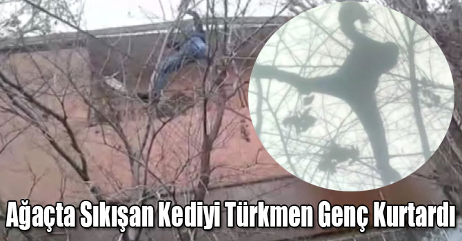 Ağaçta Sıkışan Kediyi Türkmen Genç Kurtardı