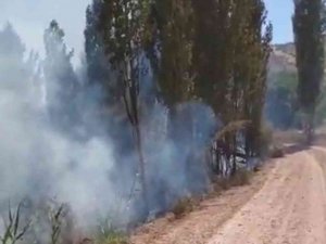 Ağaçlık alanda çıkan yangın korkuttu