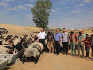 Tuşba Belediyesinden kırsal mahallelere sıvat desteği